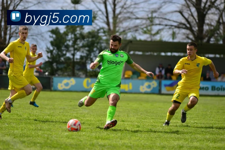 奖项证书